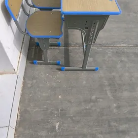 Parta