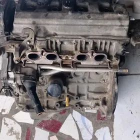 corona motor