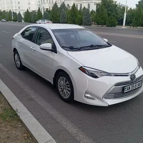 Toyota Corolla 2019