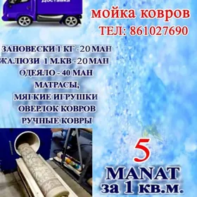 Ýelek haly himçistka