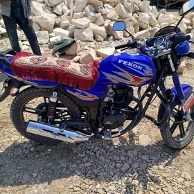 Fekon FK150-8G 2025