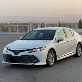 Toyota Camry 2019