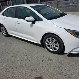 Toyota Corolla 2019