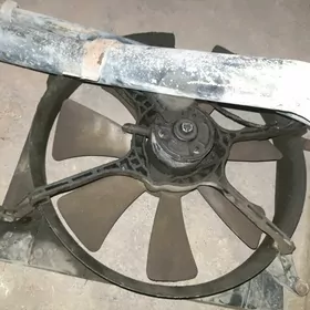 Lada lopus99