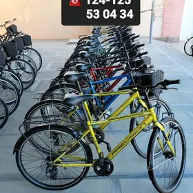 YAPON TIGIRLER TIGIR ÝAPON