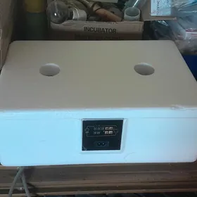 inkubator