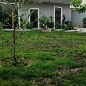 dacha