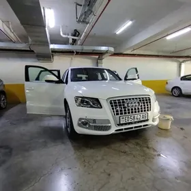 Audi Q5 2011