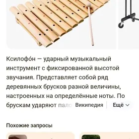 Ксилофон музыкальный инструмен