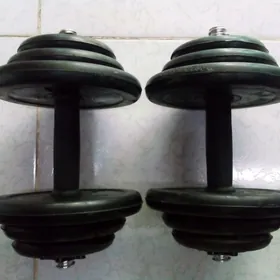 gantel