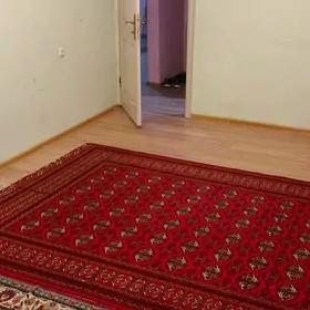 Arkaj kotez 1 komnat