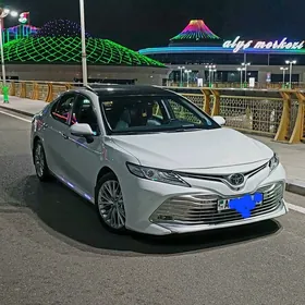 Toyota Camry 2019