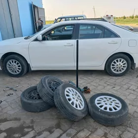 дисга