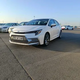 Toyota Corolla 2022