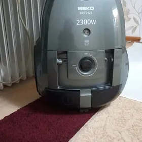 Tozan sorujy