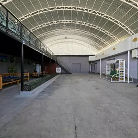 Satlyk Coganly Mansarda 6sotyk