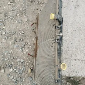 radiatr