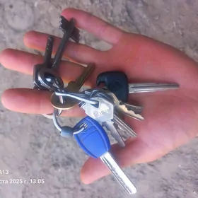 acar tapdym