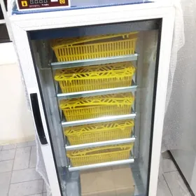 Inkubator