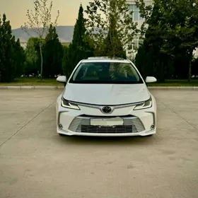 Toyota Corolla 2022