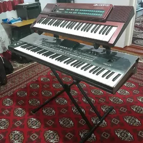Korg pa 3x, gosa stoyka, dx100