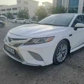 Toyota Camry 2020