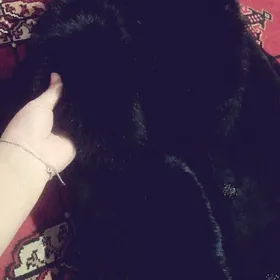 palto