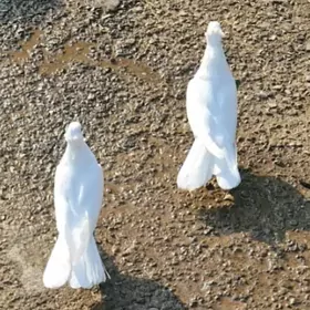 Kepderi