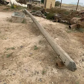 stalba 11