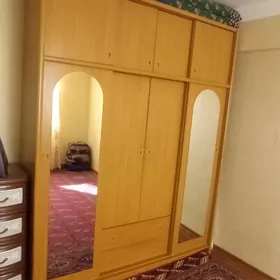 шфанер