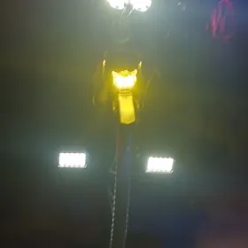 Velik