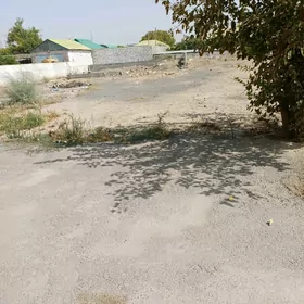 16 sotak mellek yer