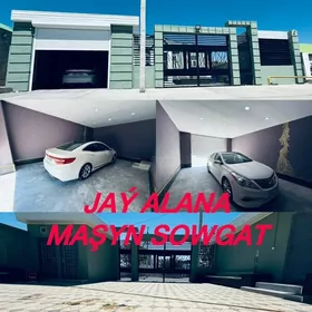 anew magtymguly lux plan eyesi