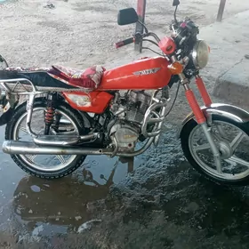Fekon FK150-8G 2015