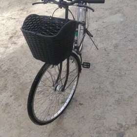 Welik 27  Fratello 2025