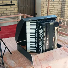 Akkordeon