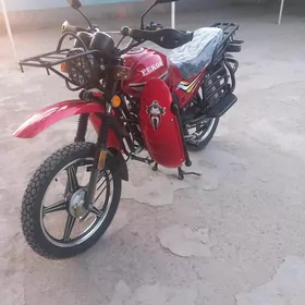Fekon FK150-8G 2025
