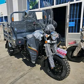 Fekon FK200-14G 2025