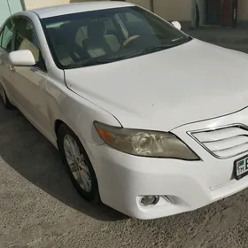 Toyota Camry 2010
