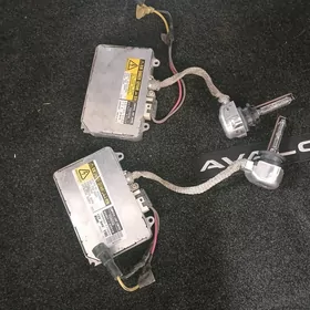 leksus lampa