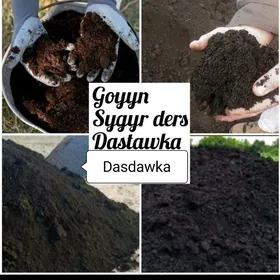 miti ders sement kerpiç myty d
