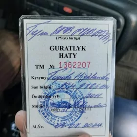 Gurat hat tapyldy BH 98 65 DZ