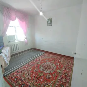 Şatlyk Şaherçesi arzan jaý