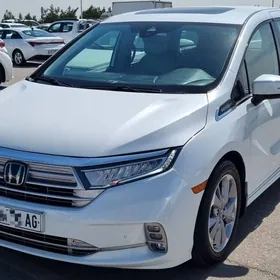 Honda Odyssey 2021