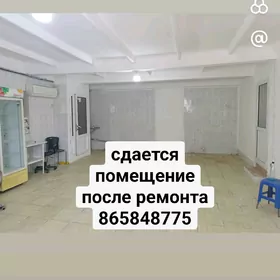 аренда магазина или офиса