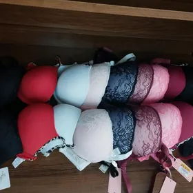 lifcik tursik