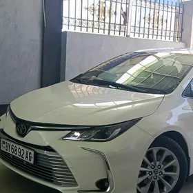 Toyota Corolla 2020
