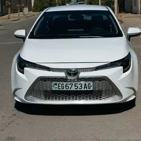 Toyota Corolla 2021