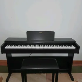 Arius Yamaha pianino elektron