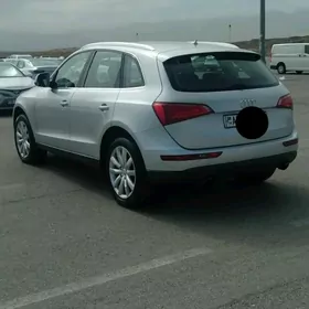 Audi Q5 2009
